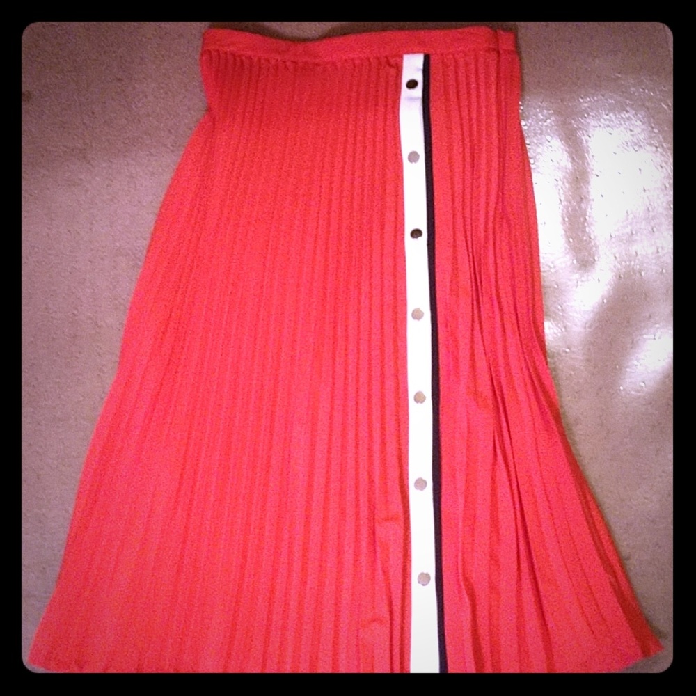 Pleated Skirt